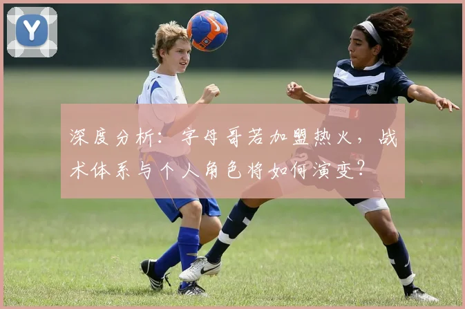深度分析：字母哥若加盟热火，战术体系与个人角色将如何演变？