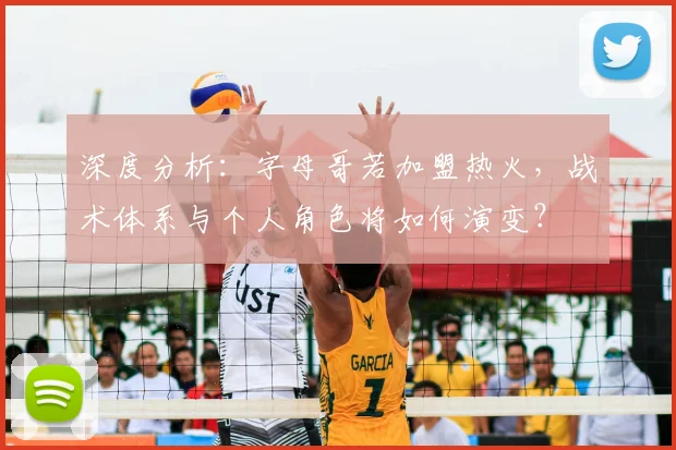 深度分析:字母哥若加盟热火,战术体系与个人角色将如何演变?
